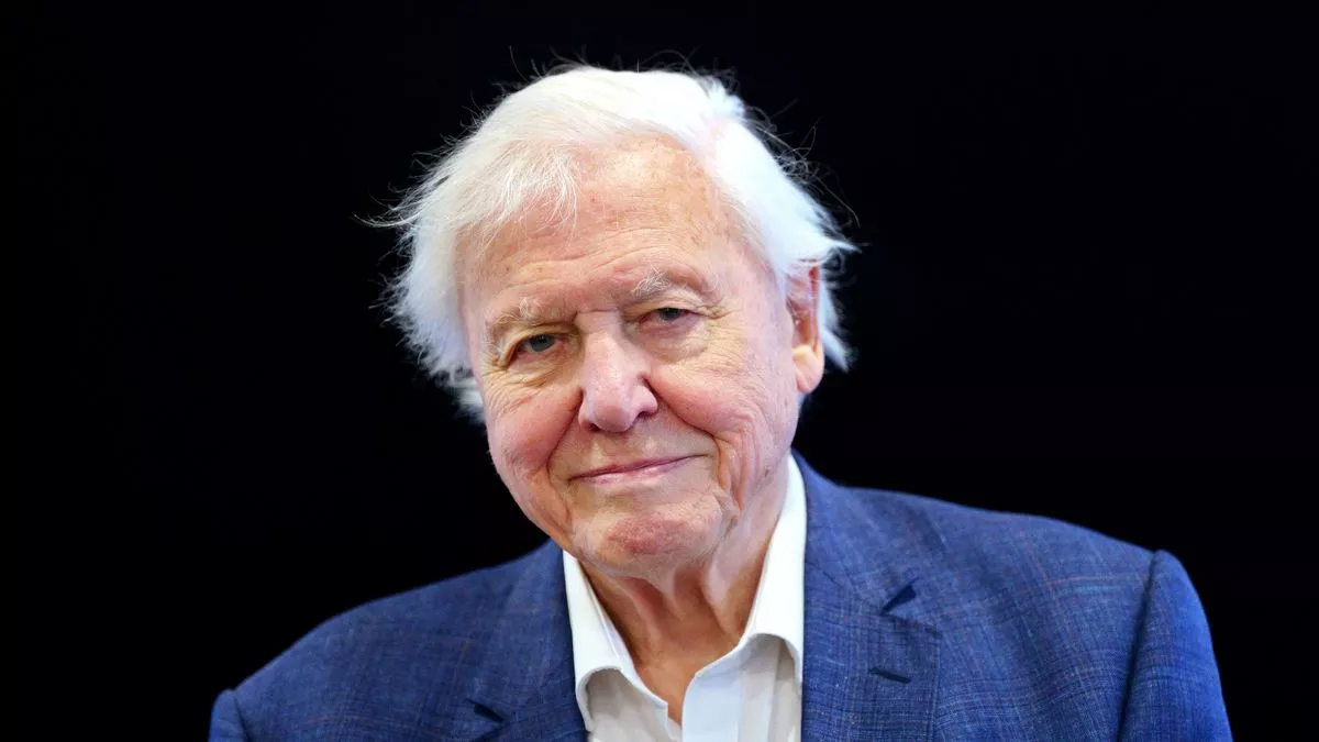 David Attenborough net worth