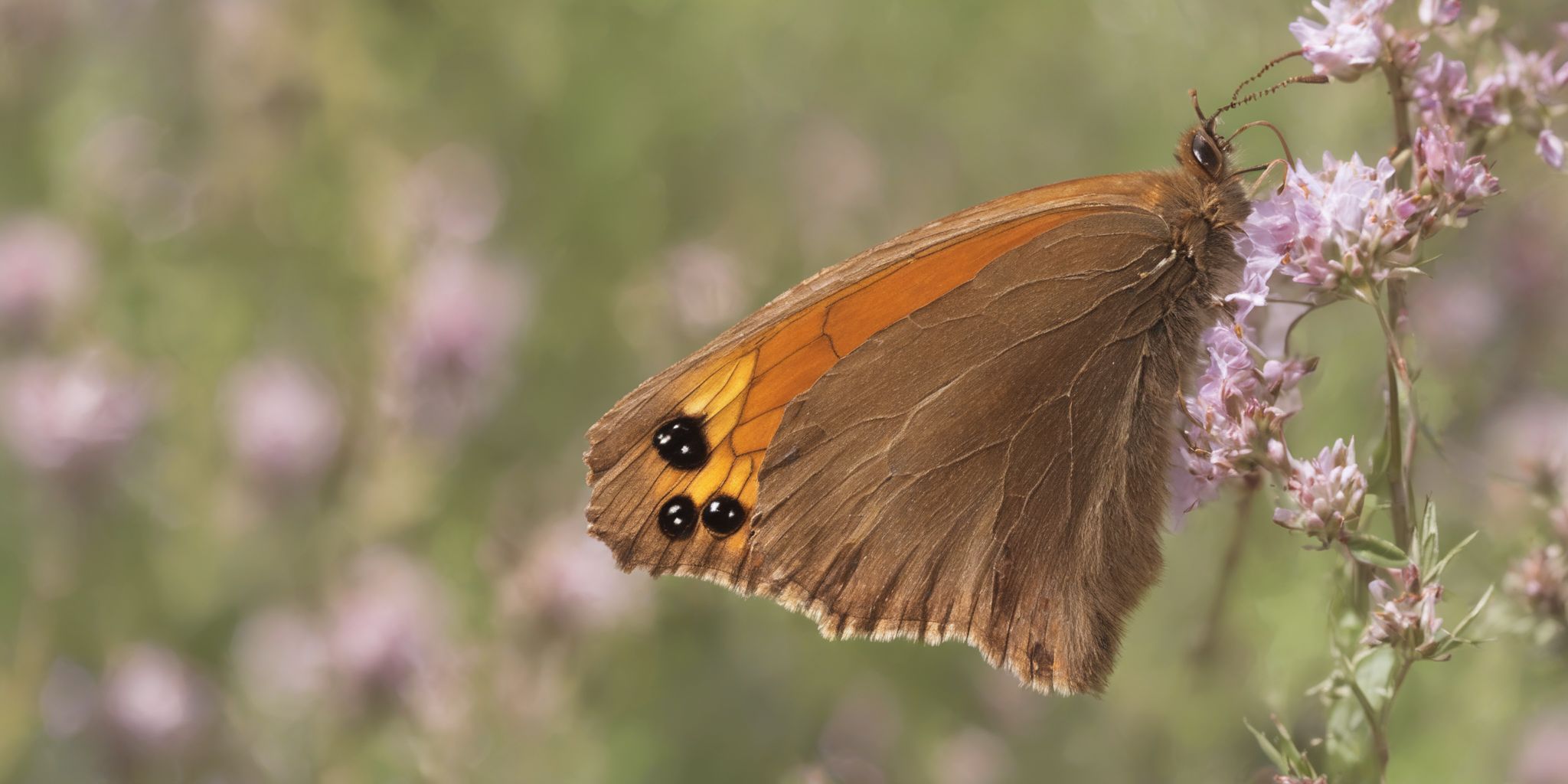 Gatekeeper  in realistic, photographic style